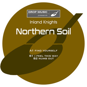I Feel This Way by Inland Knights