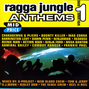 Two Sounds Jungle by Barrington Levy, Beenie Man
