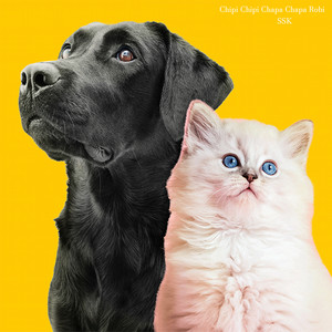 SSK - Chipi Chipi Chapa Chapa Robi