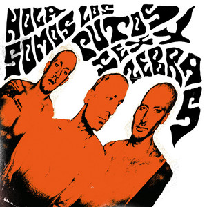 Hola, Somos los Putos Sexy Zebras cover