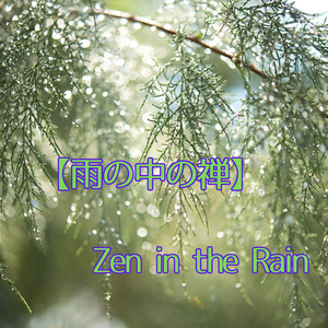 Breath of Rainfall by KEIZO TANBA