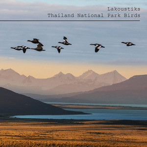 Thailand National Park Birds by Lakoustiks