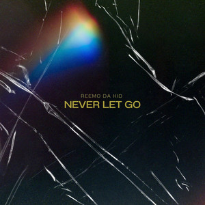 Never Let Go by Rothstein Beatz, Reemo Da Kid