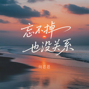 忘不掉也没关系｜温柔R&B｜释怀告别版｜收藏版｜忘不掉就慢慢放过自己 by 林琳溪