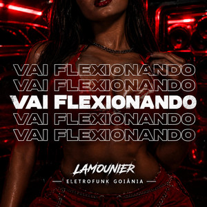 Vai Flexionando by Lamounier, ELETROFUNK GOIANIA