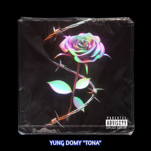 Tona