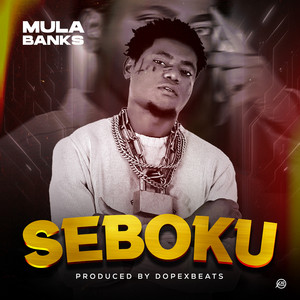Seboku by Mulabanks
