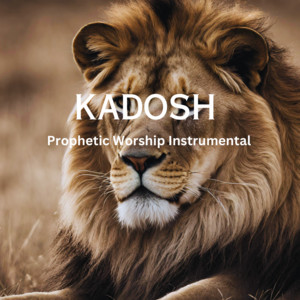 Emmanuel Nduaguba - Kadosh Prophetic Worship (Instrumental)