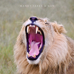 Fly by Mandy Takes A Gun, Alice Recher