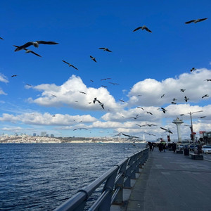 Gel Üsküdara by EDA MORDENİZ