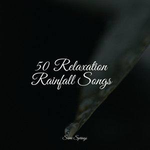 50 Relaxation Rainfall Songs album