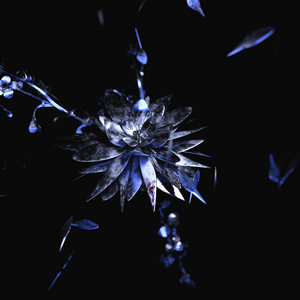 Flowes