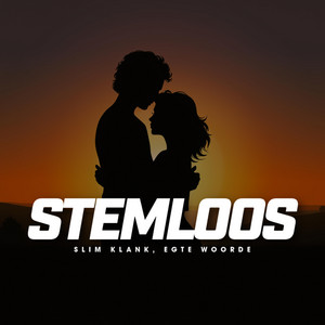 Hou Vas by Stemloos