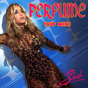 Perfume - VIP MIX by Shab