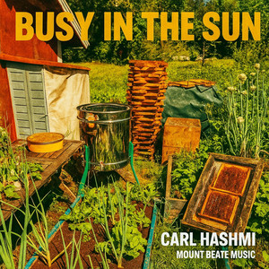 Busy in The Sun by Carl Hashmi