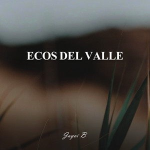 Echoes of the Valley - Acoustic by Dj Jayvi B