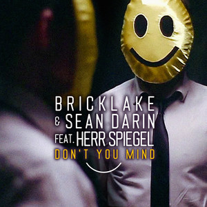 Don't You Mind - Radio Edit