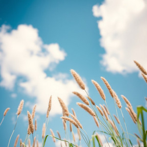 Lunária Seredonte - Sombra Entre os Sóis