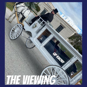 The Viewing by Reese Youngn