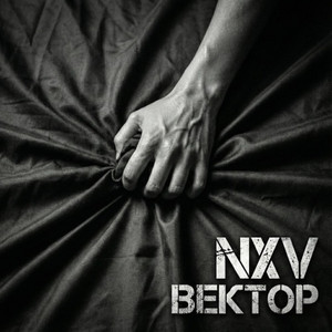 Вектор by Nxv
