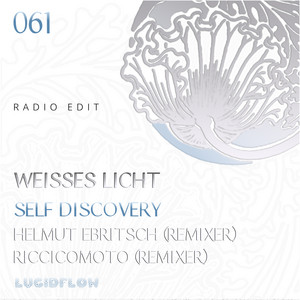 Lost - Helmut Ebritsch Distant Remix Radio Edit by Weisses Licht, Helmut Ebritsch