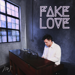 Nathan Walters - Fake Love (English Version)
