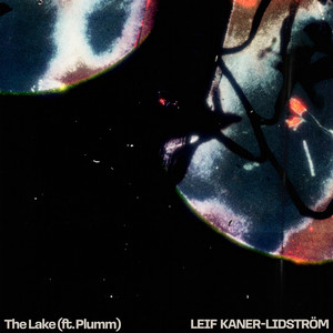 The Lake by Leif Kaner-Lidström, Plumm