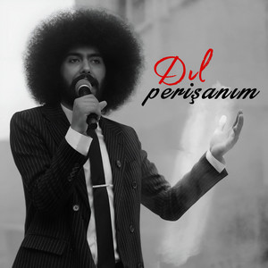 Dıl Perişanım (Live)