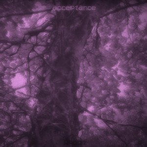 acceptance by Wabbit