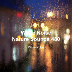 White Noise 480 (Rain Sounds, Bonfire Sound, Baby Sleep, Deep Sleep)