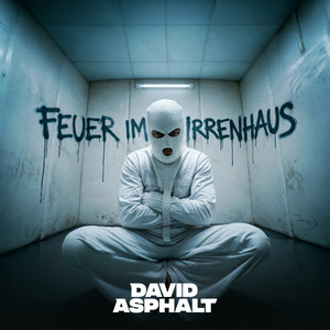 Feuer im Irrenhaus by David Asphalt