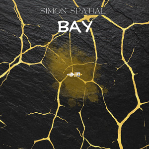 Pulled Out All The Stops by Simon Spatial