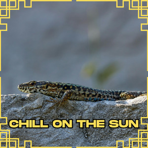 Chill On The Sun by Mitchika