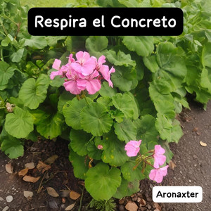 Respira el Concreto by Aronaxter