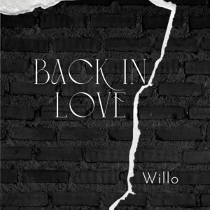 Back In Love - Radio Edit by WILLO