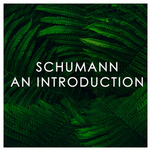 Schumann: An Introduction album