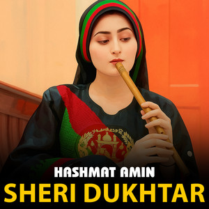 Hashmat Amin - Sheri Dukhtar