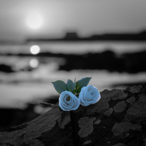 OCEAN BETWEEN US by 2SILENT