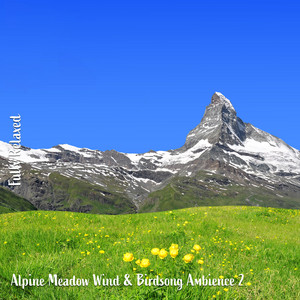 Steve Brassel - Alpine Meadow Wind & Birdsong Ambience, Pt. 14
