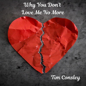 Why You Don't Love Me No More by Tim Consley