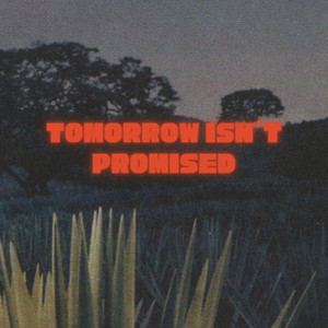 Stay Home