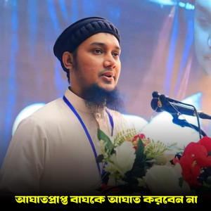 ALIF HASAN AMIN - আঘাতপ্রাপ্ত বাঘকে আঘাত করবেন না