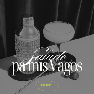 Saludo pa mis vagos by XCX CORP