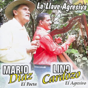 Improvisando En Canasta