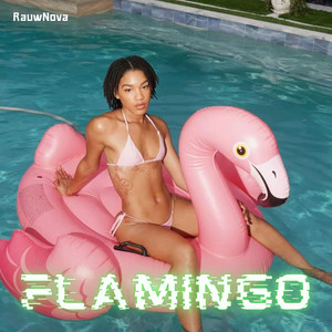 Flamingo by RauwNova