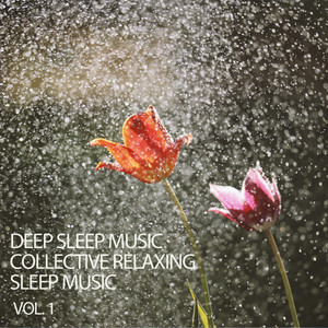 Deep Sleep Music Collective Relaxing Sleep Music Vol. 1 album