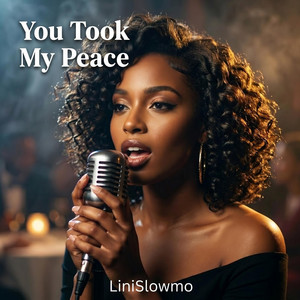 You Took My Peace by LiniSlowmo