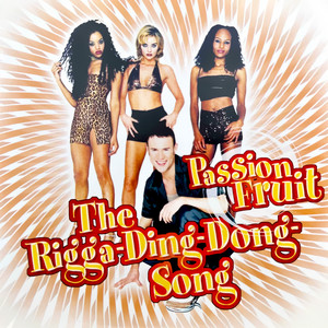 The Rigga-Ding-Dong-Song - Radio Mix