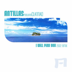 I Will Find You (Remix) cover