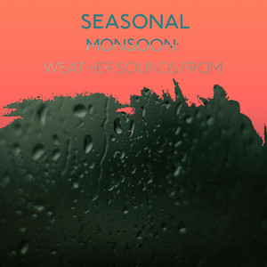 zZz Seasonal Monsoon: Weather Sounds from the Forest zZz album